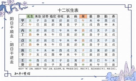 十二長生表運用|【12 長生】揭開十二長生之謎：深入淺出的八字算命基礎課